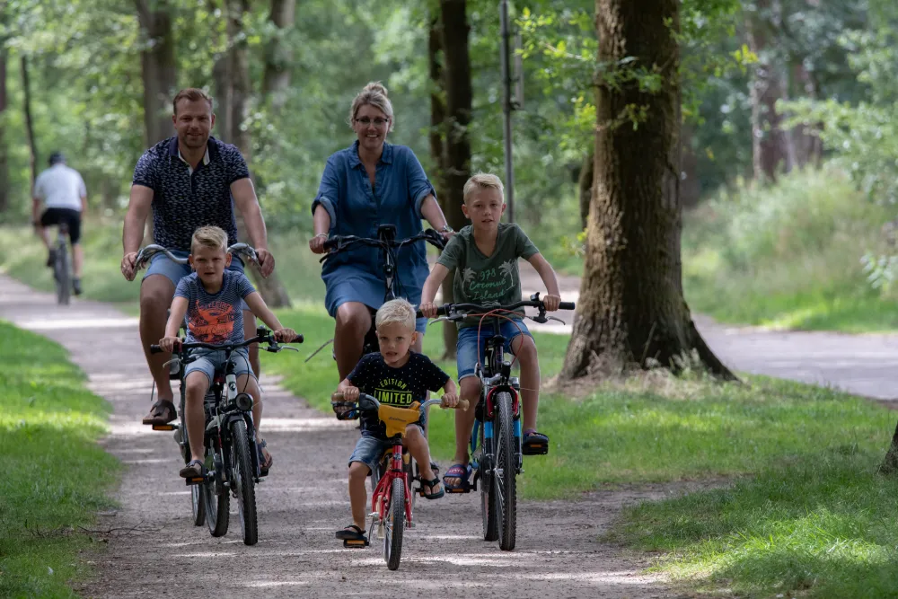 Camping De Noetselerberg