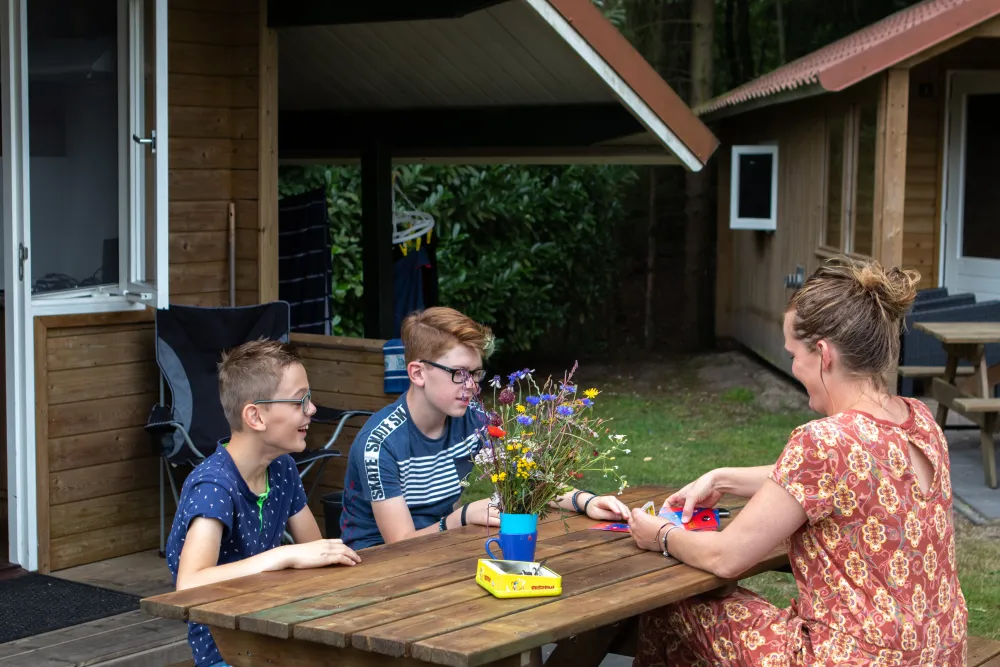 Camping De Noetselerberg