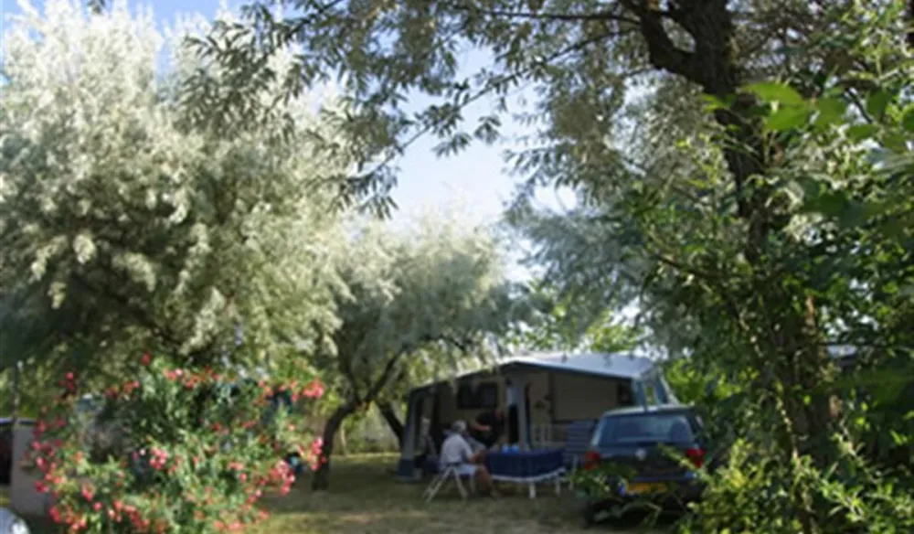 Camping Le Paradis  