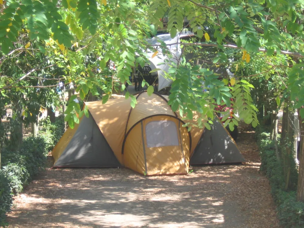 Campeggio Pian di Picche