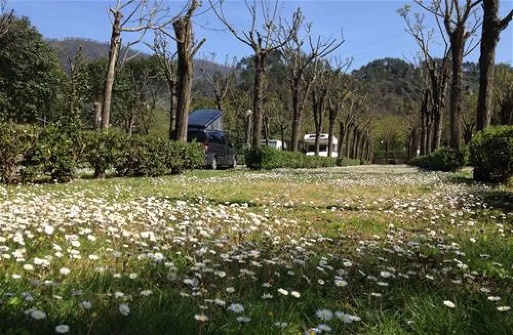 Campeggio Pian di Picche