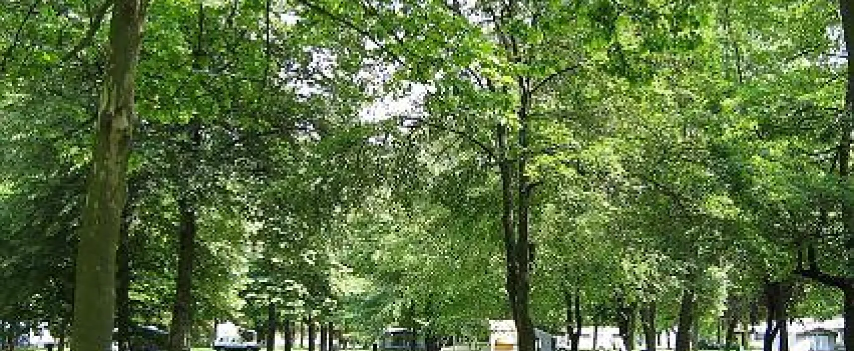 Termál Kemping Harkány