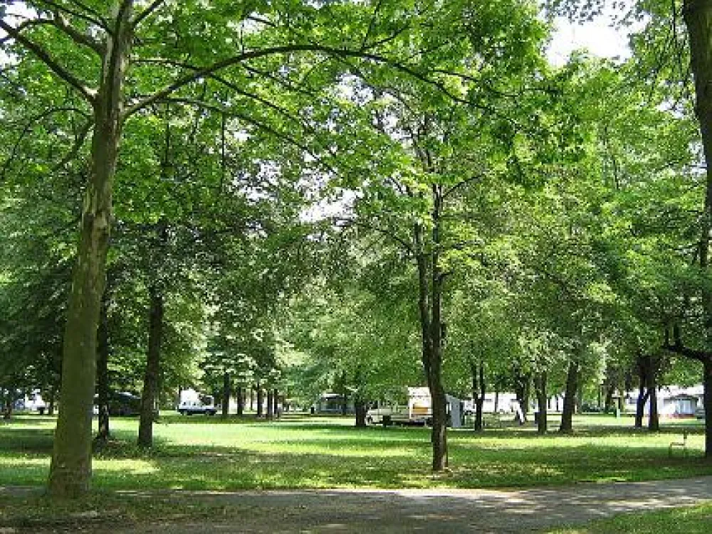 Termál Kemping Harkány