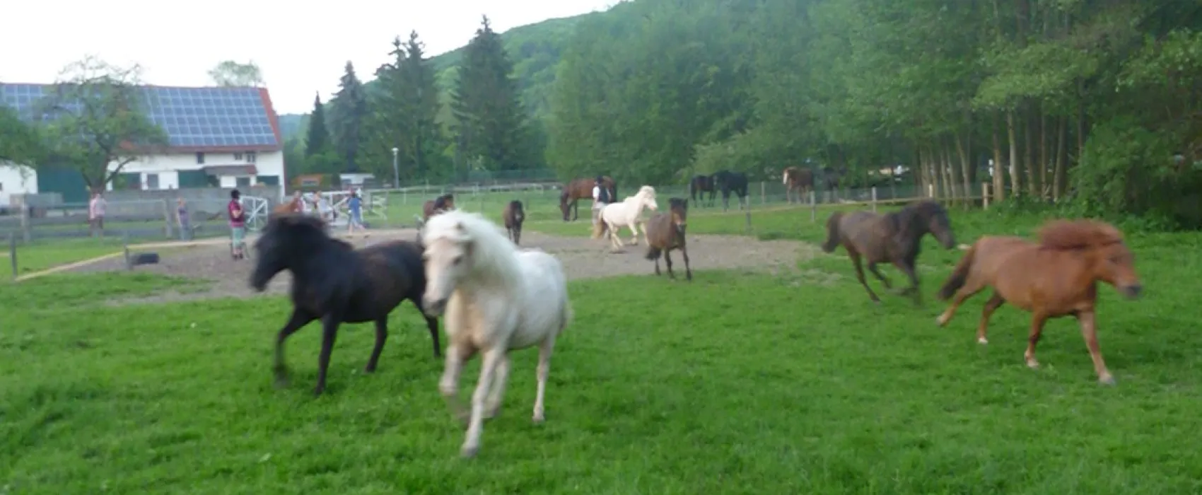 Ponyhof Camping Club