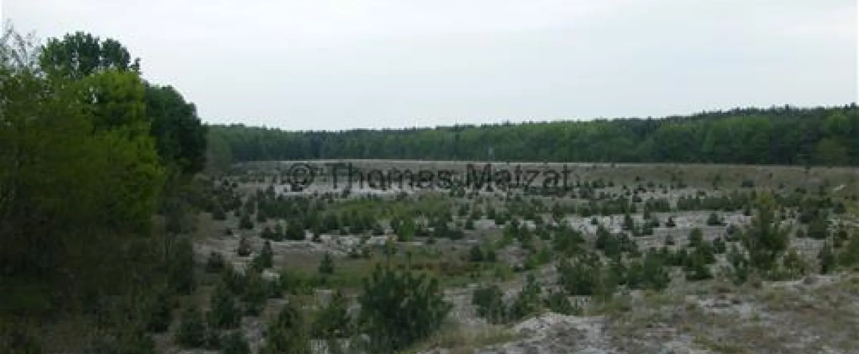 Wohnmobilstellplatz Meusel