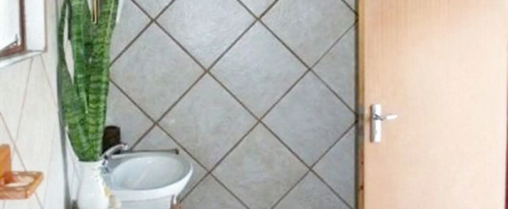 Springbokpan Guest Farm