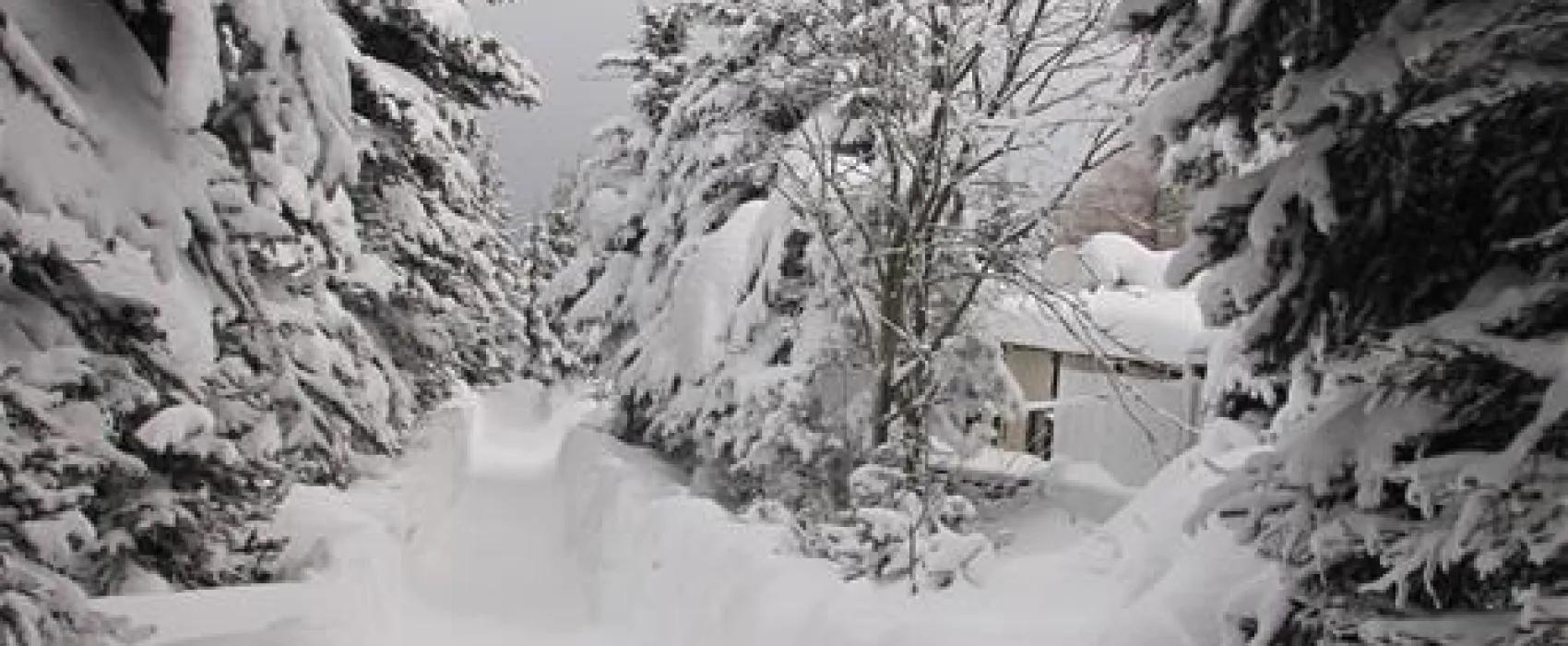 Camping Kleiner Galgenteich