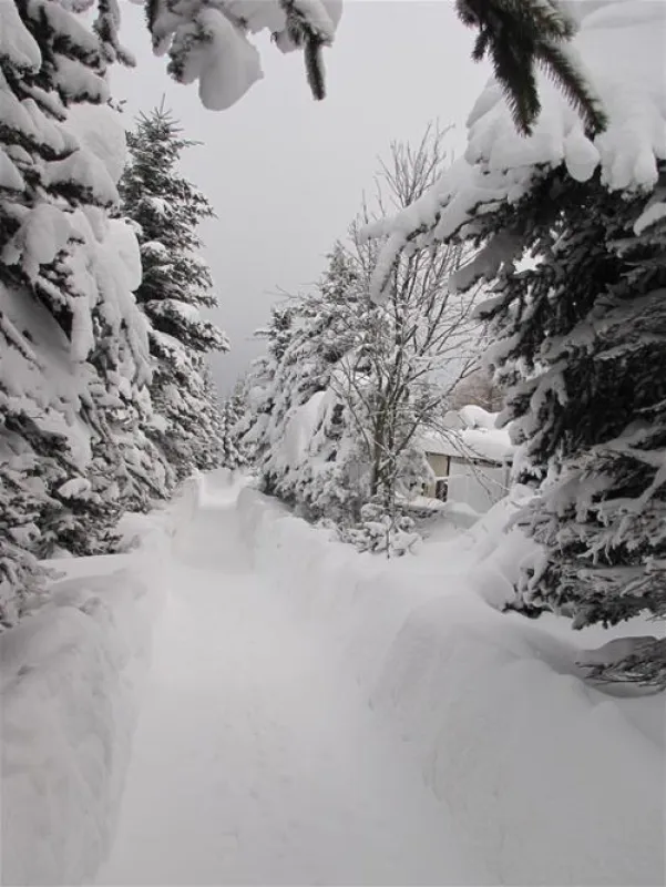 Camping Kleiner Galgenteich