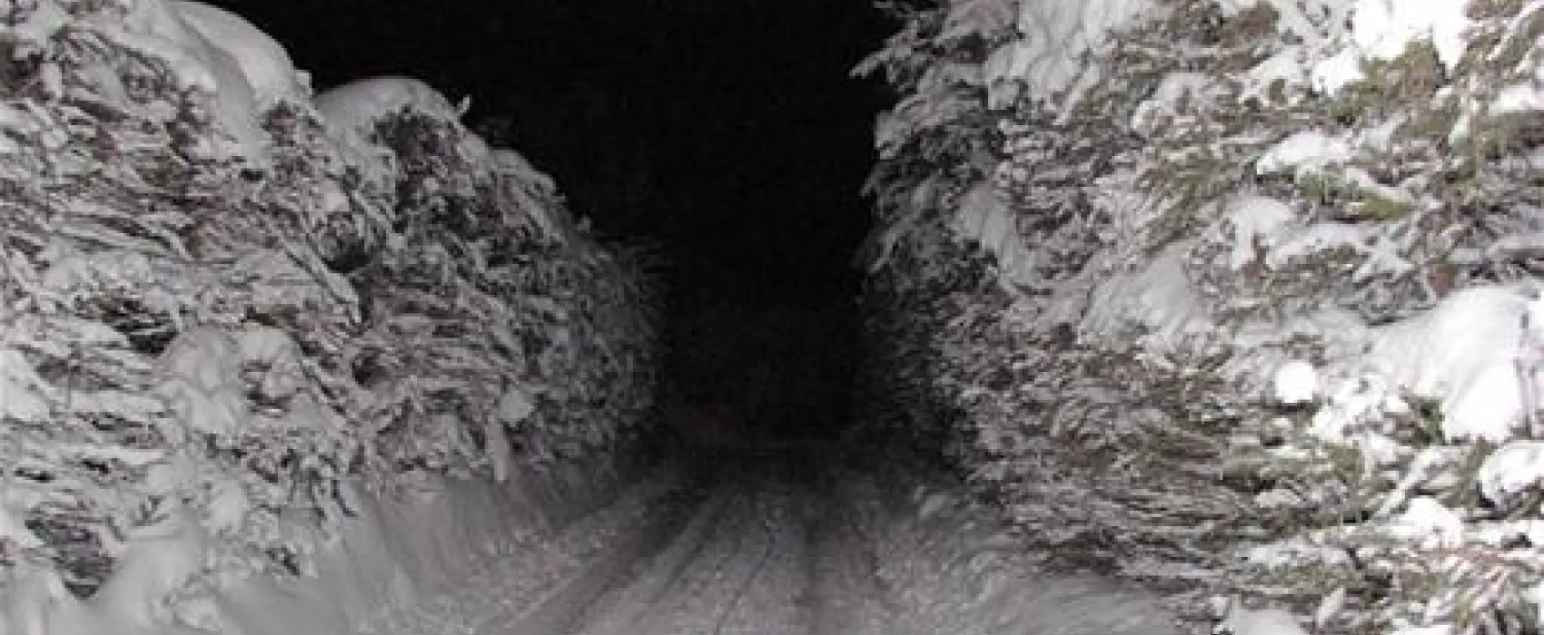 Camping Kleiner Galgenteich