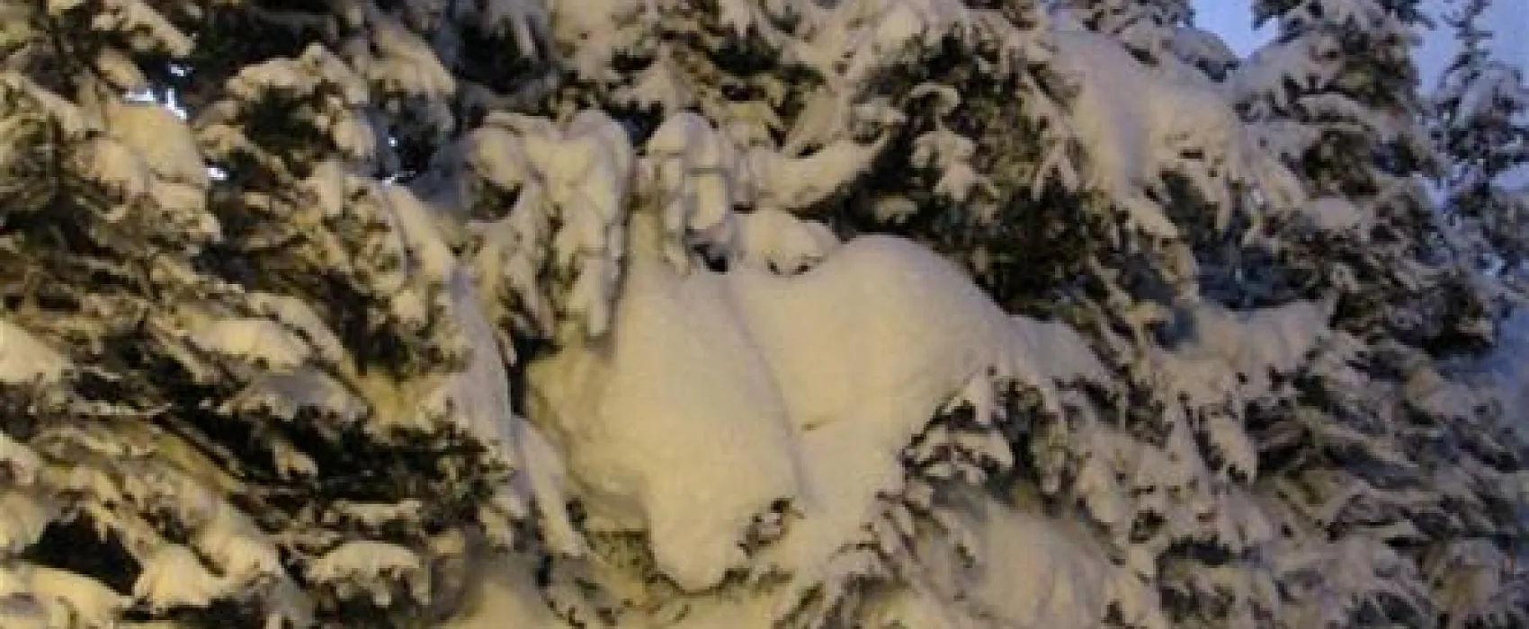 Camping Kleiner Galgenteich