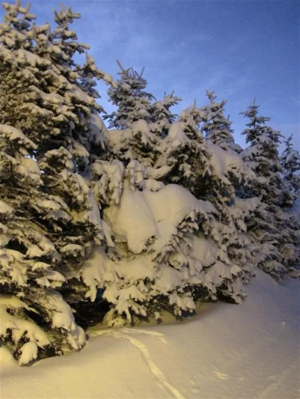 Camping Kleiner Galgenteich