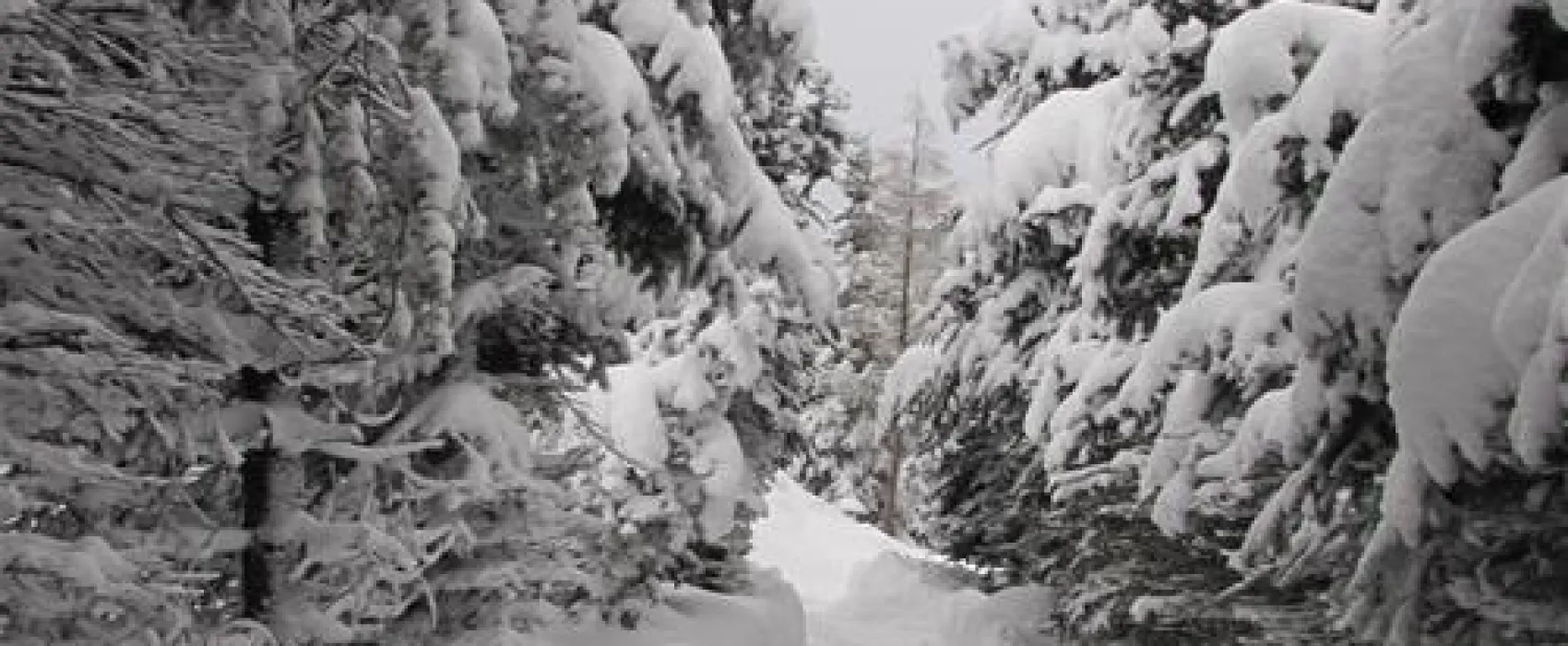 Camping Kleiner Galgenteich