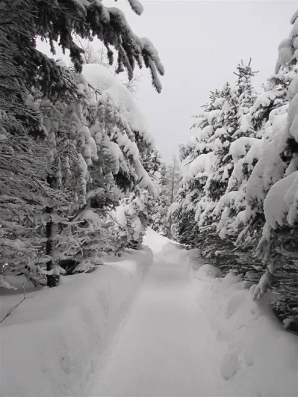 Camping Kleiner Galgenteich