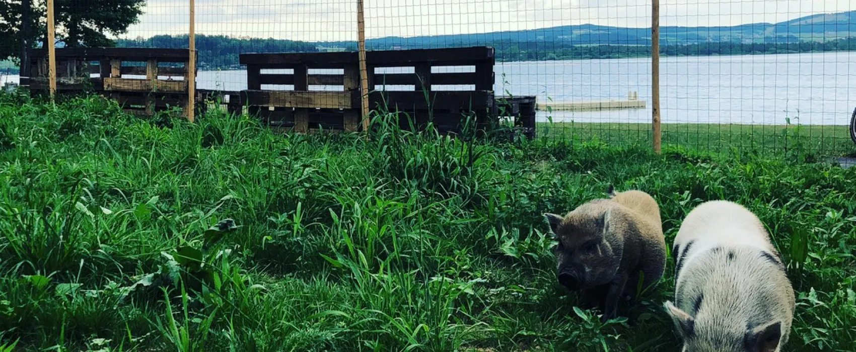 Strandcamping Fenningerspitz KG