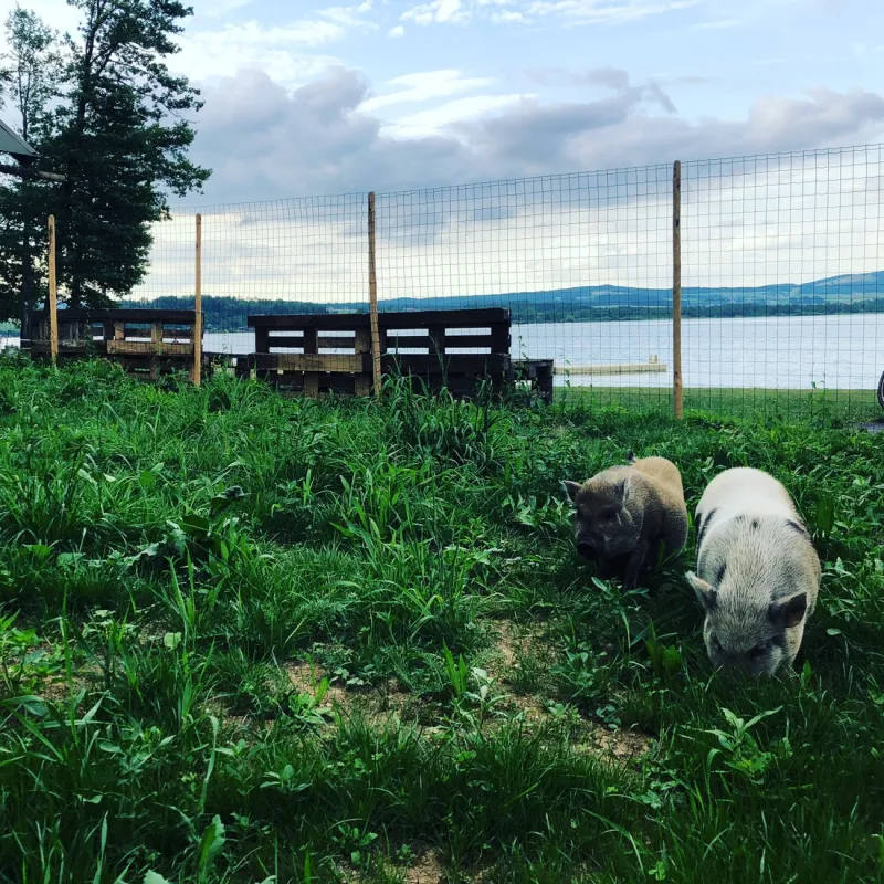 Strandcamping Fenningerspitz KG