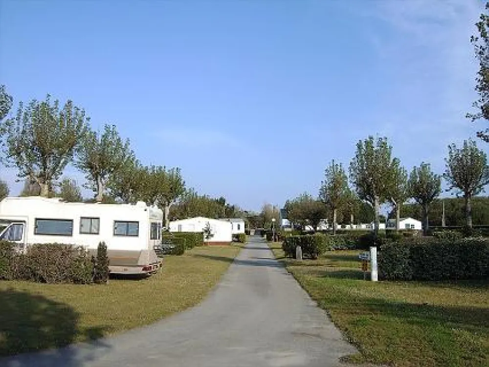 Camping Les Joncs Du Roch