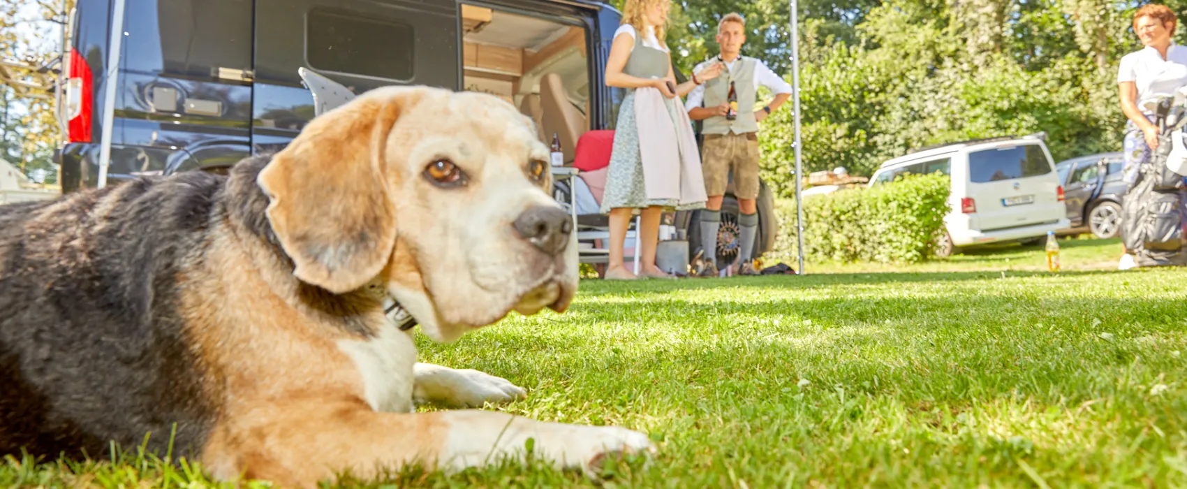 Kur- und Feriencamping Holmernhof Dreiquellenbad