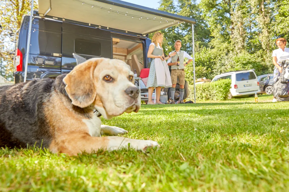 Kur- und Feriencamping Holmernhof Dreiquellenbad