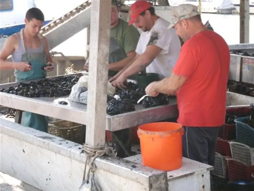 Spina Camping Village