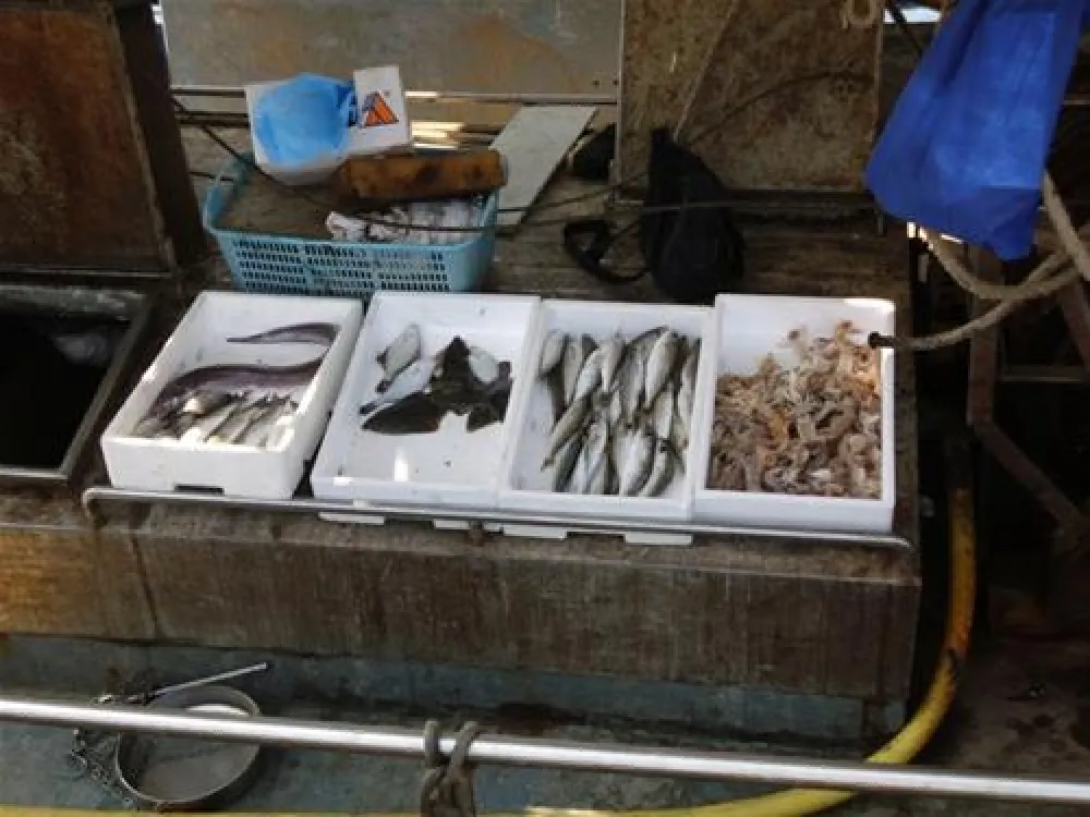 Spina Camping Village