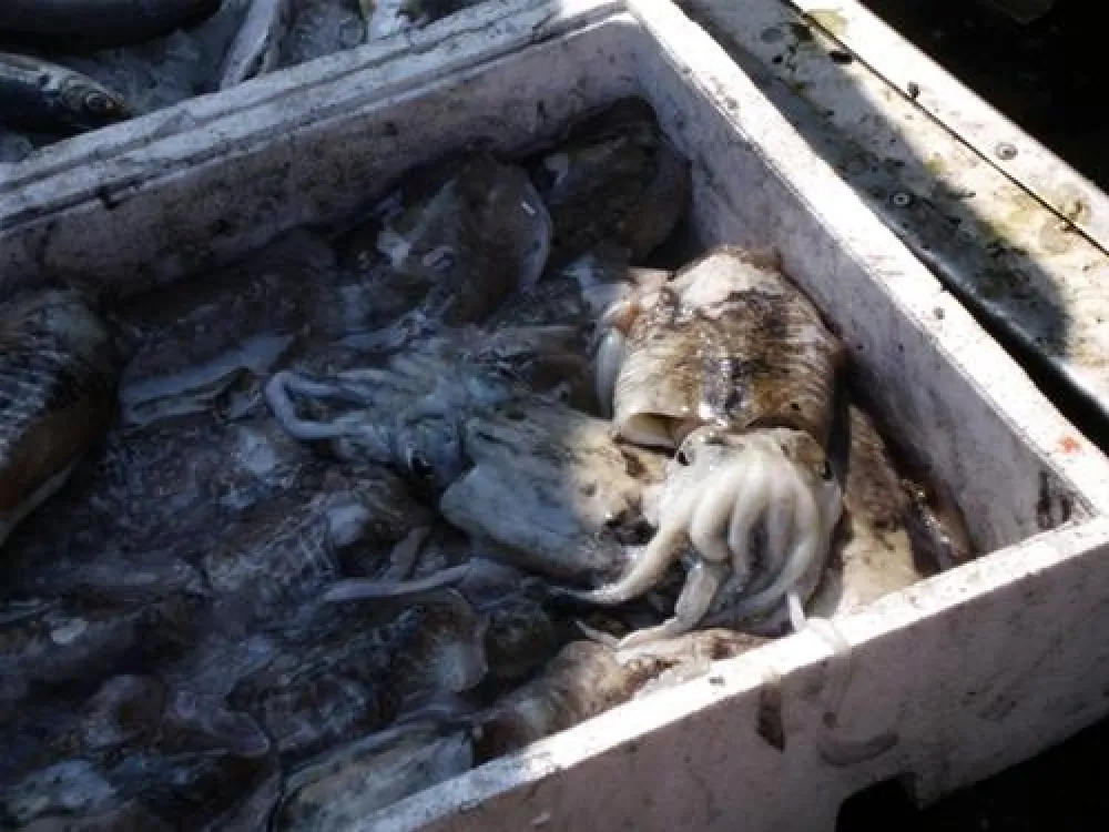 Spina Camping Village