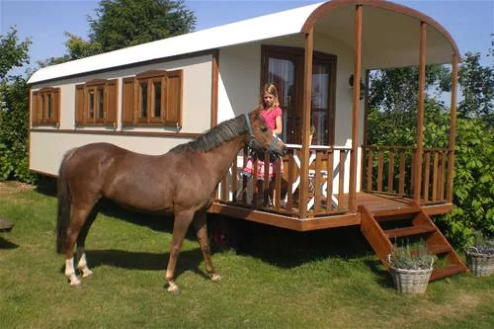 Komfort-Camping Seeburger See