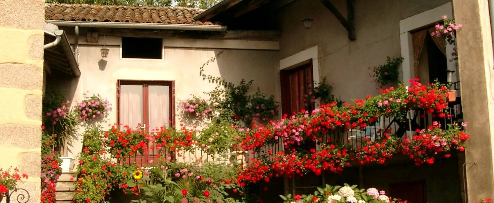 Domaines des Monts du Maconnais