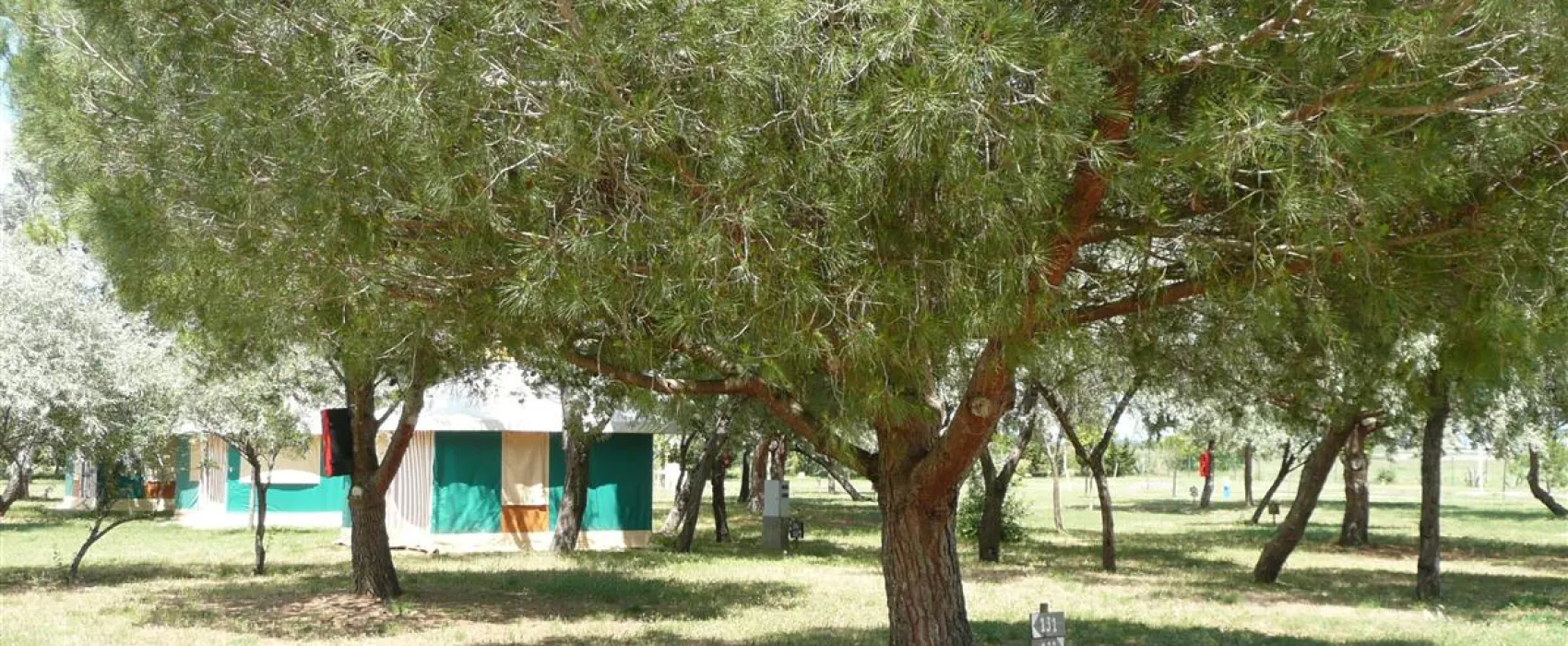 Camping Les Flamants Roses  