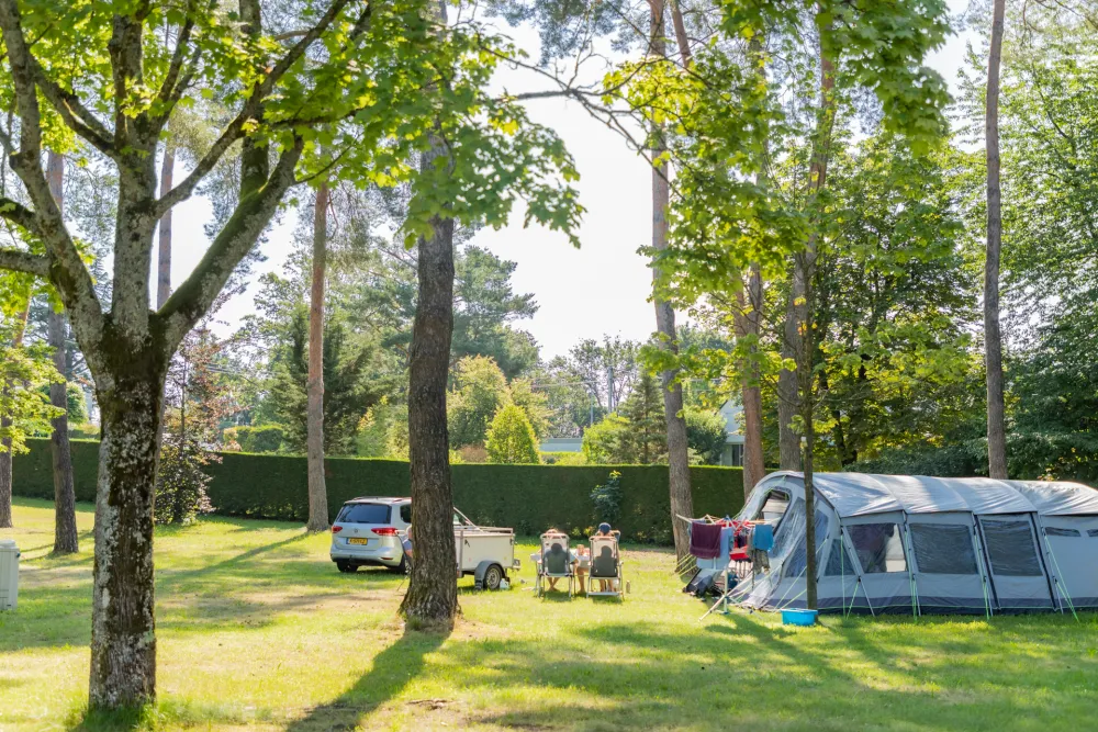 Camping municipal Les Pins