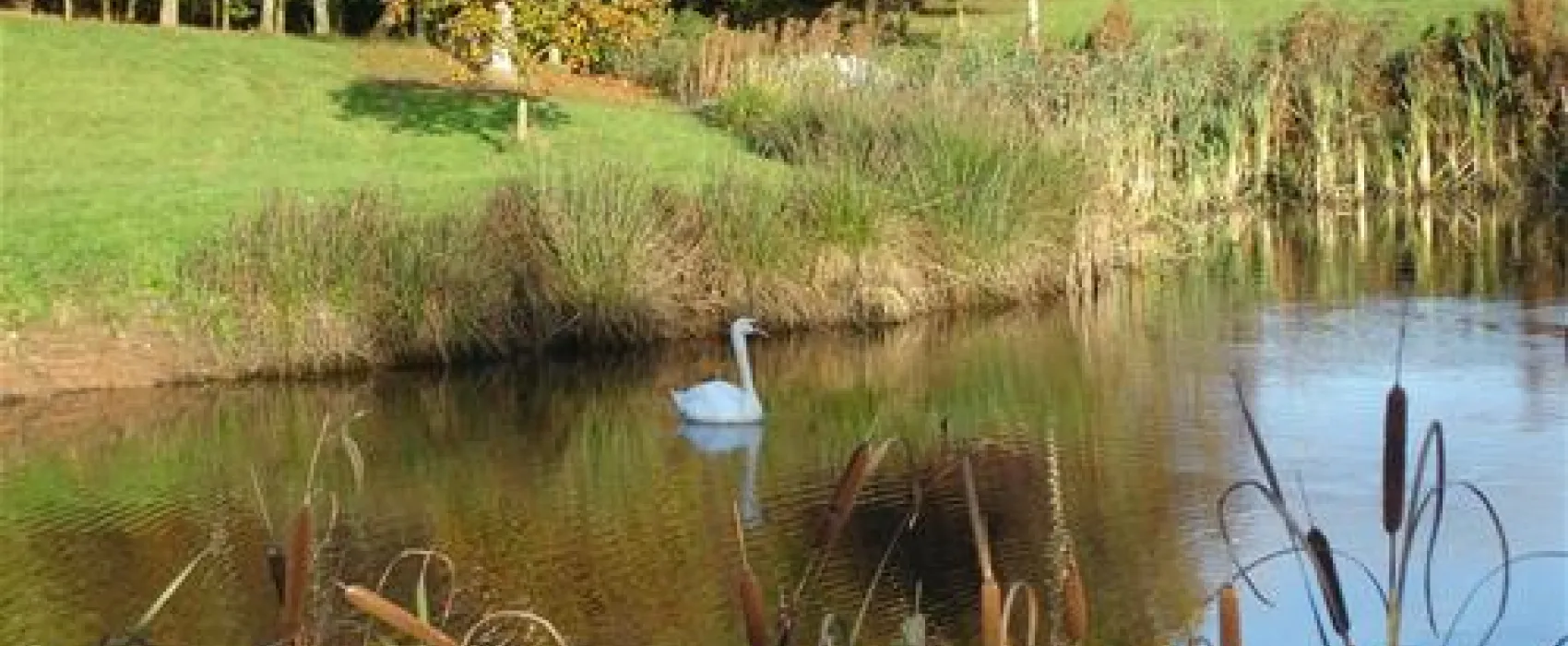 Park Grange Holidays