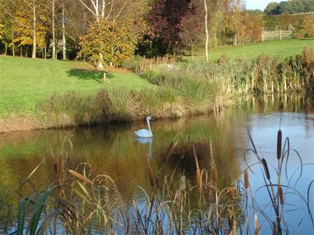 Park Grange Holidays