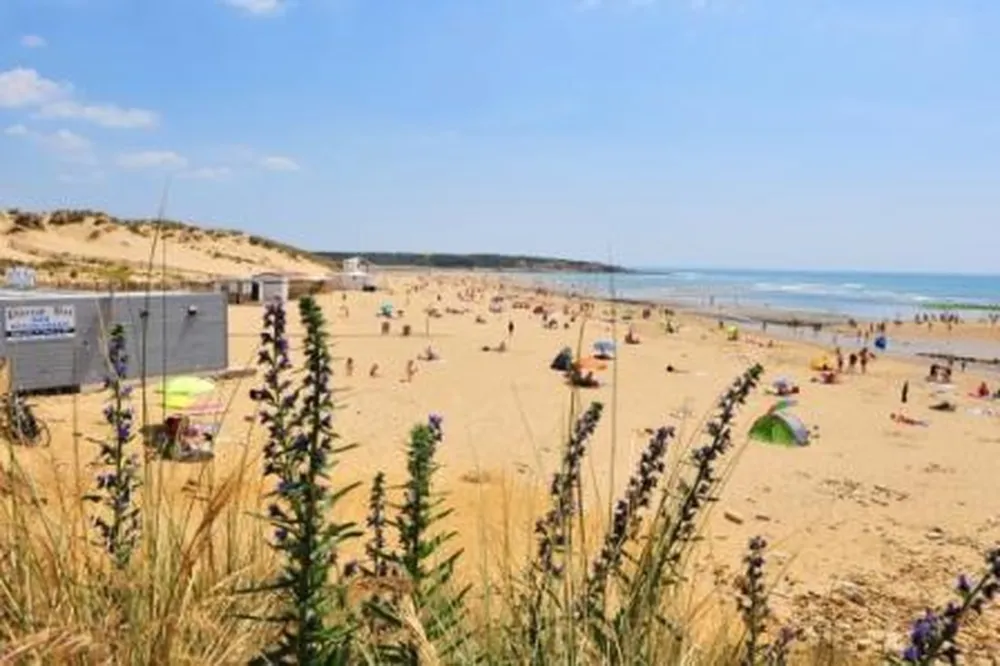 Camping club les Dinosaures