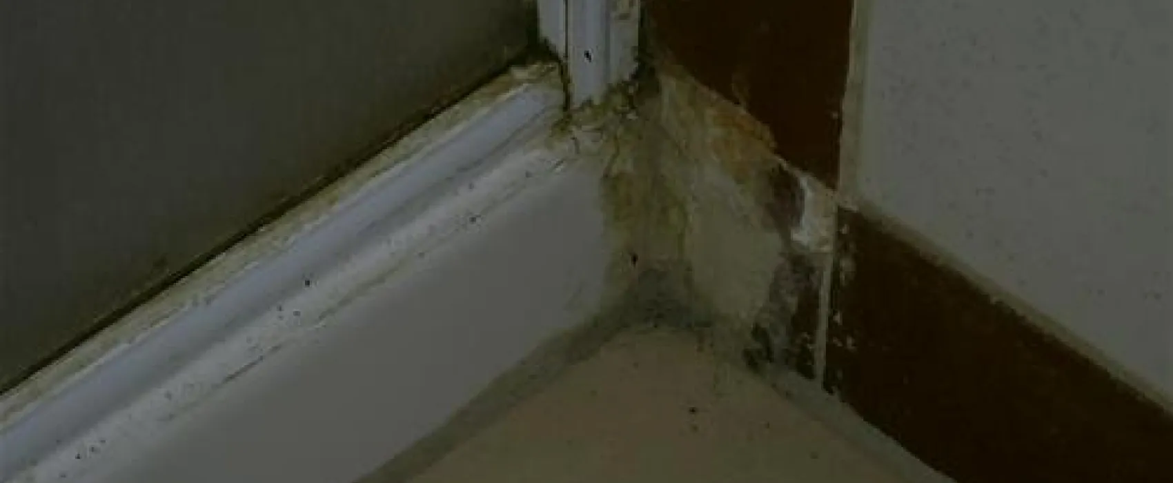 Agricamping  Alessandra Ameglia, per camper