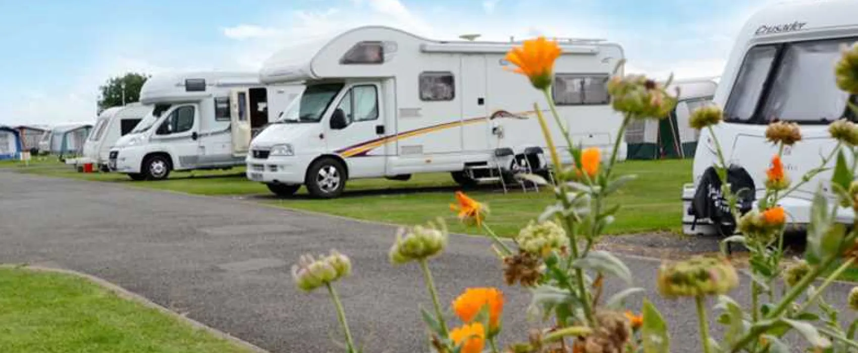 Country Meadows Holiday Park