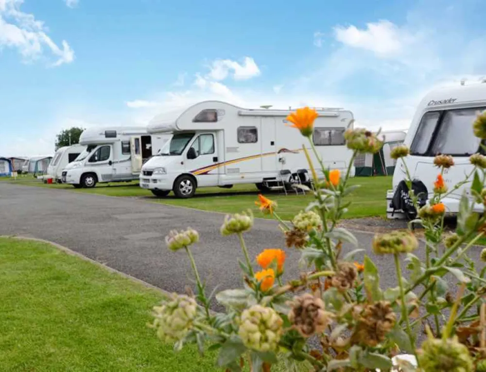 Country Meadows Holiday Park