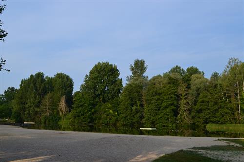 Camping Municipal photo 5