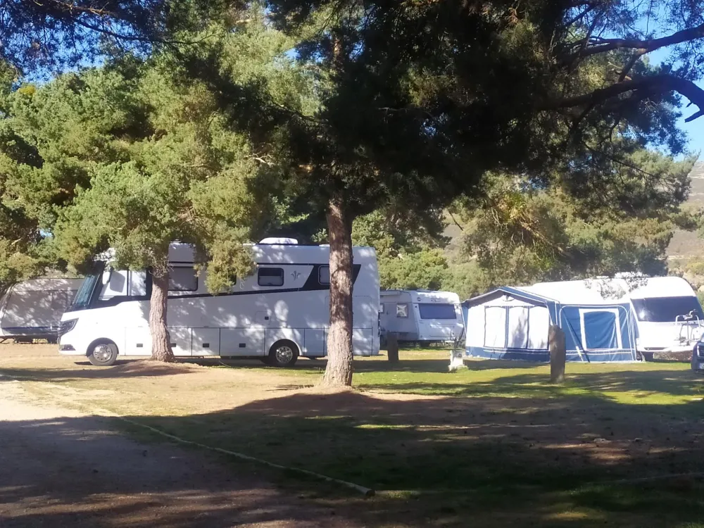 Camping los Bonales