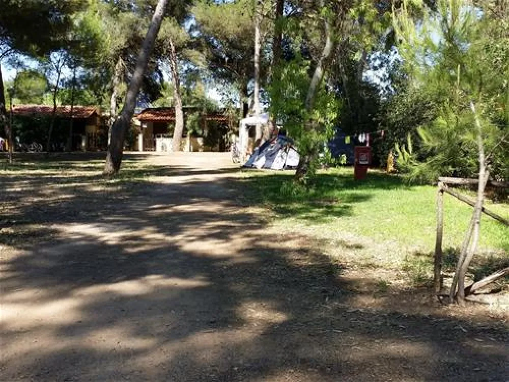 Campeggio Sentinella