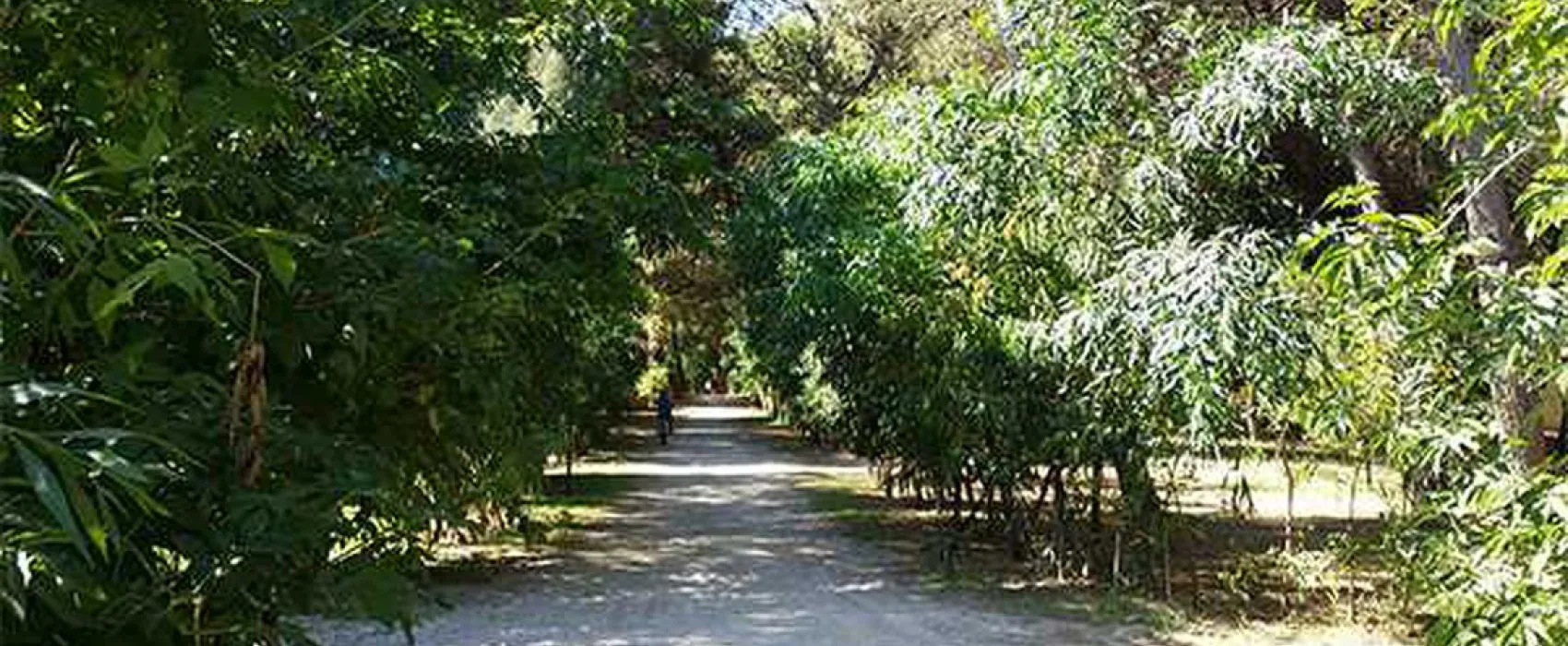 Campeggio Sentinella