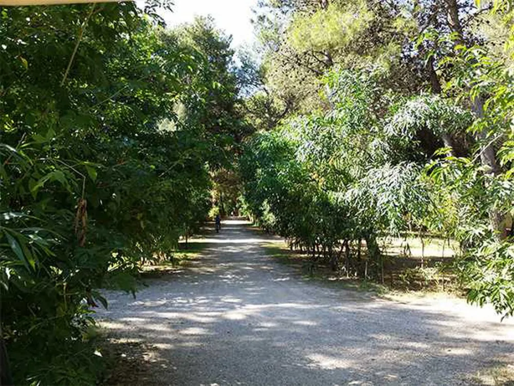 Campeggio Sentinella