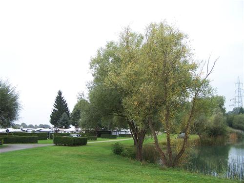 Camping Du Staedly in France - Spottocamp - Spottocamp