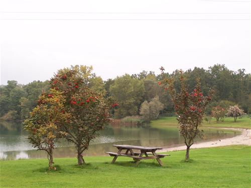 belluna dachzelt Dachzelt Regenberzug Desert