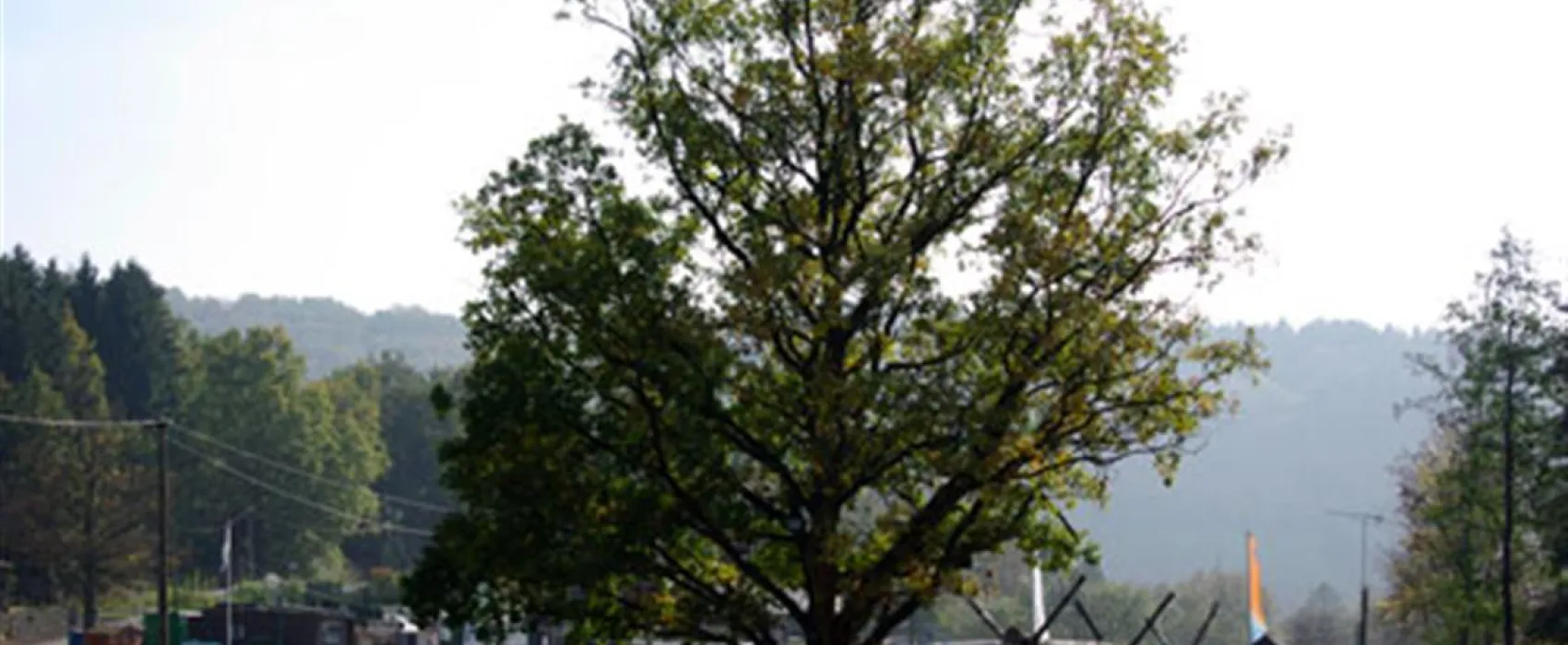 Campingplatz Irsental