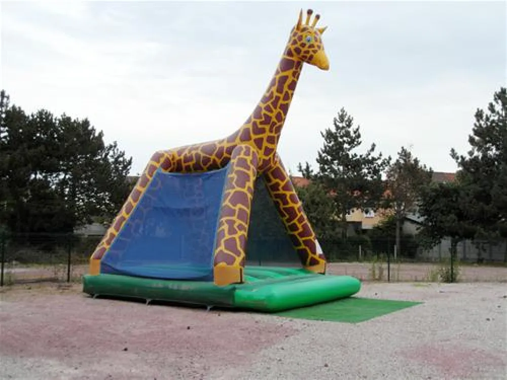 Flower Camping - Le Haut Dick  