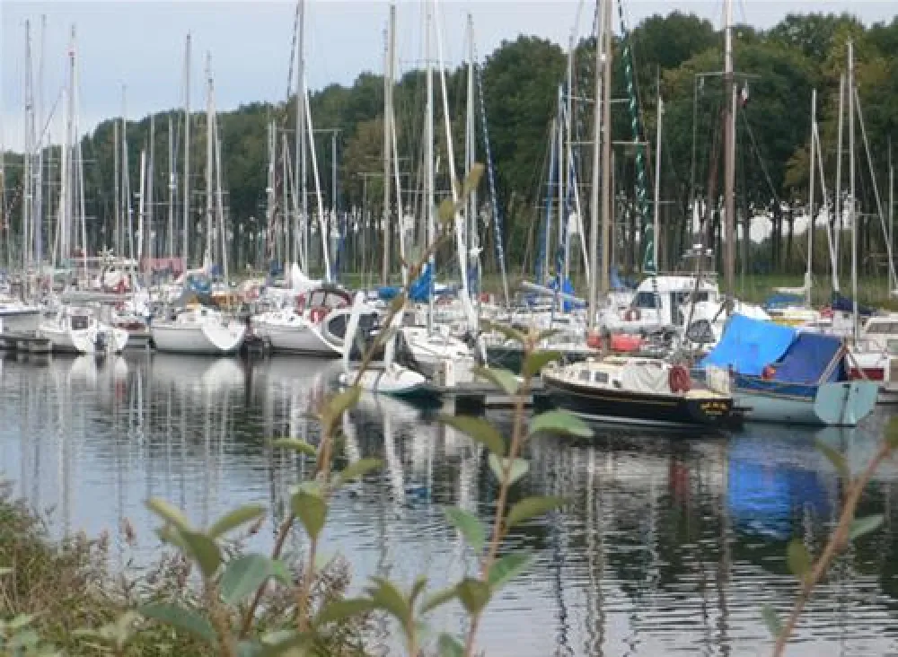 Flower Camping - Le Haut Dick  