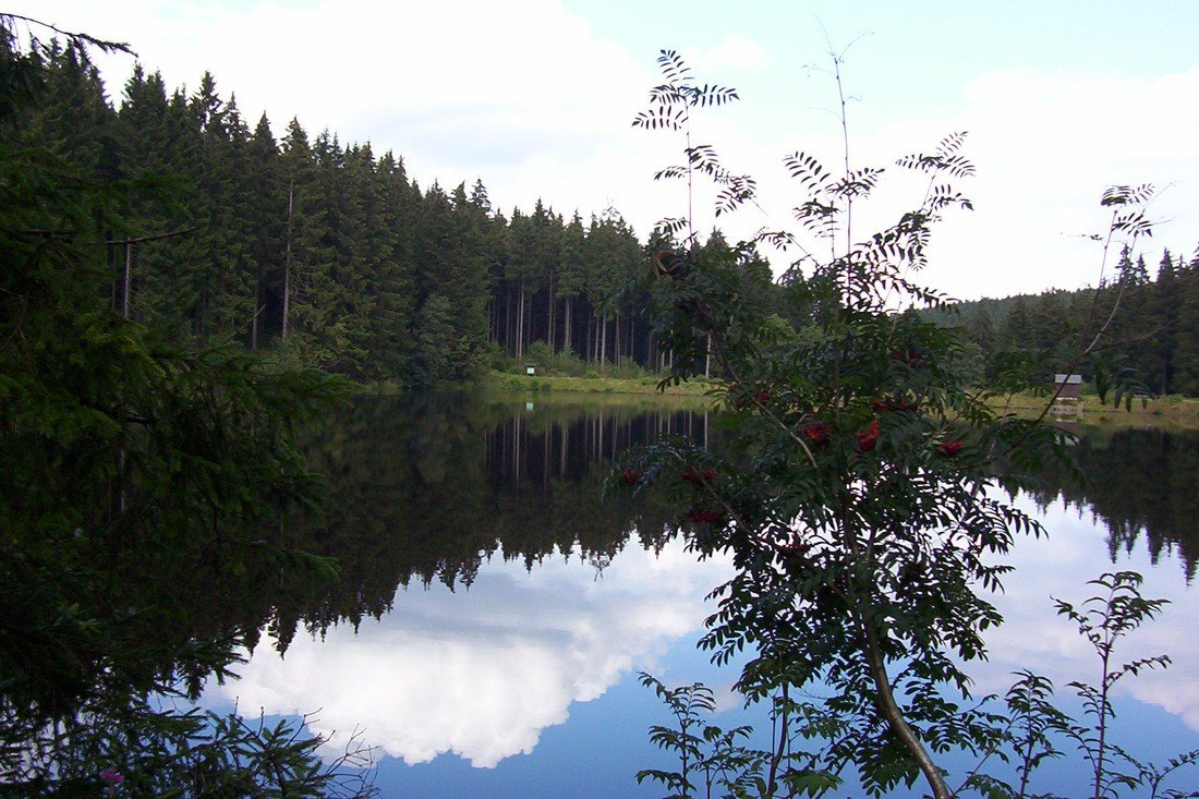 Camping Polstertal in Germany - Spottocamp - Spottocamp