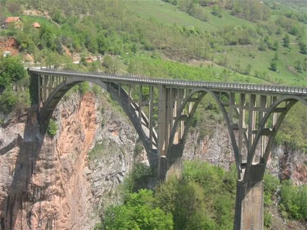 Camping Miro Tara-Regata