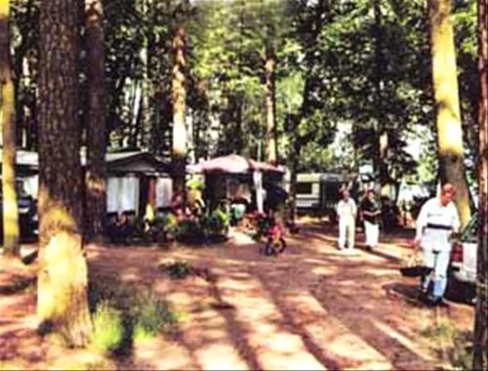 Campingplatz Dahmsdorf