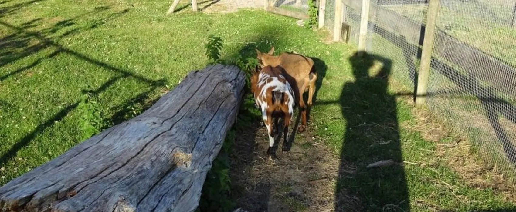 Boerderijcamping De Kluithoek