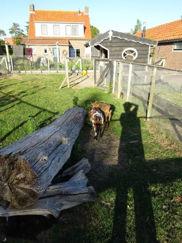 Boerderijcamping De Kluithoek